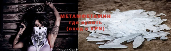 прущие грибы Баксан