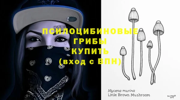 прущие грибы Баксан