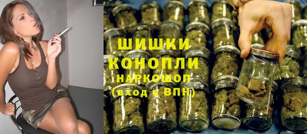 ГАЛЛЮЦИНОГЕННЫЕ ГРИБЫ Балабаново